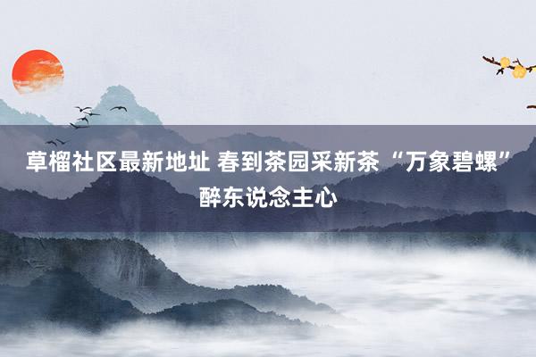 草榴社区最新地址 春到茶园采新茶 “万象碧螺”醉东说念主心