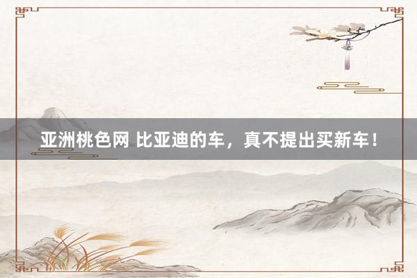 亚洲桃色网 比亚迪的车，真不提出买新车！