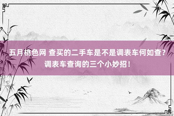 五月桃色网 查买的二手车是不是调表车何如查？调表车查询的三个小妙招！