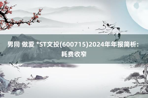 男同 做爱 *ST文投(600715)2024年年报简析: 耗费收窄