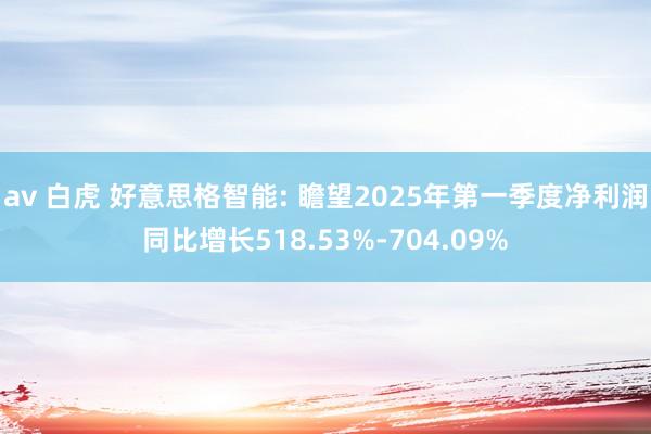 av 白虎 好意思格智能: 瞻望2025年第一季度净利润同比增长518.53%-704.09%