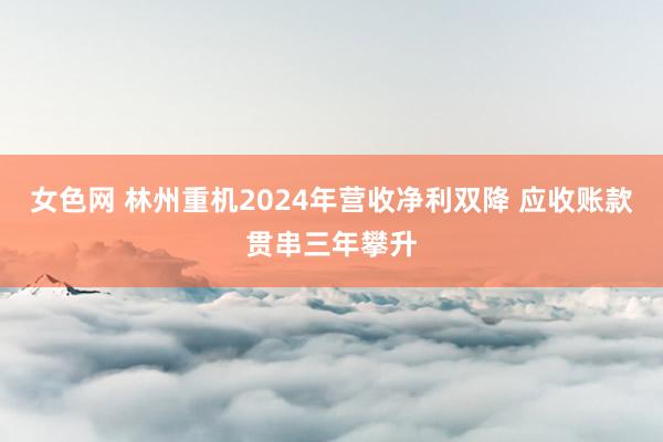 女色网 林州重机2024年营收净利双降 应收账款贯串三年攀升