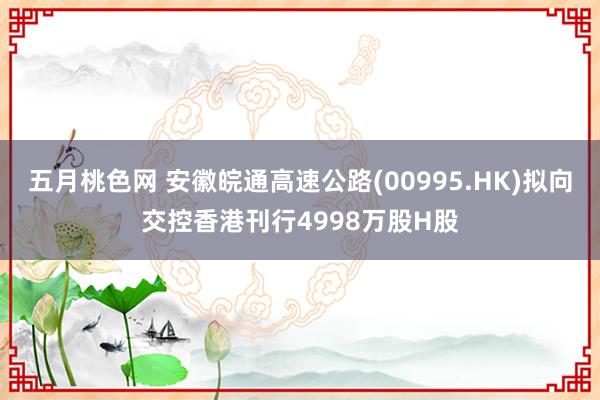 五月桃色网 安徽皖通高速公路(00995.HK)拟向交控香港刊行4998万股H股