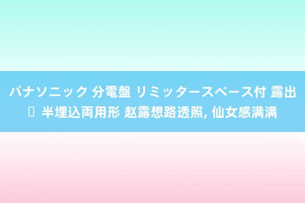 パナソニック 分電盤 リミッタースペース付 露出・半埋込両用形 赵露想路透照， 仙女感满满
