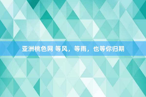 亚洲桃色网 等风，等雨，也等你归期