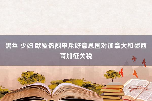 黑丝 少妇 欧盟热烈申斥好意思国对加拿大和墨西哥加征关税