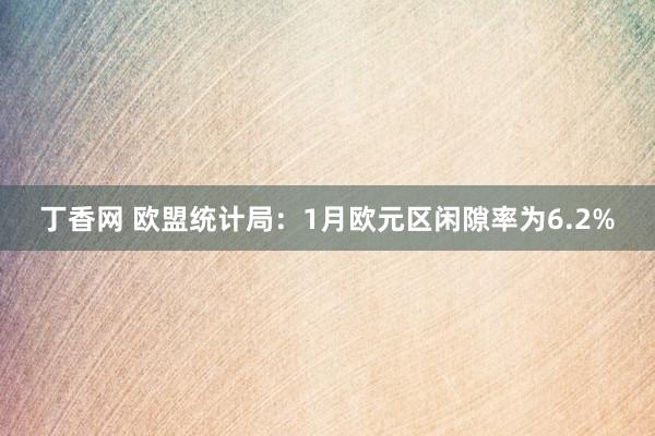 丁香网 欧盟统计局：1月欧元区闲隙率为6.2%